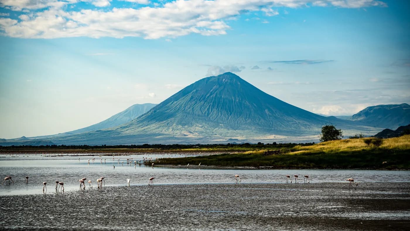 Flamingos below Ol Doinyo Lengai