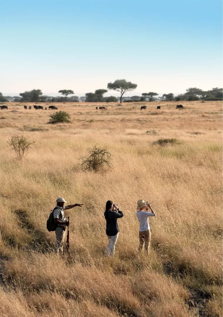 Out on a walking safari