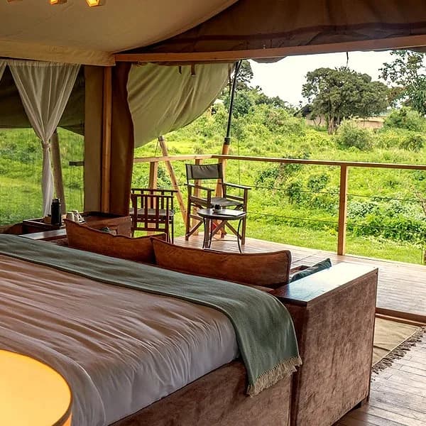 Tent veranda looking over the forest