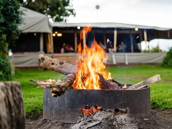 Campfire on the lawn