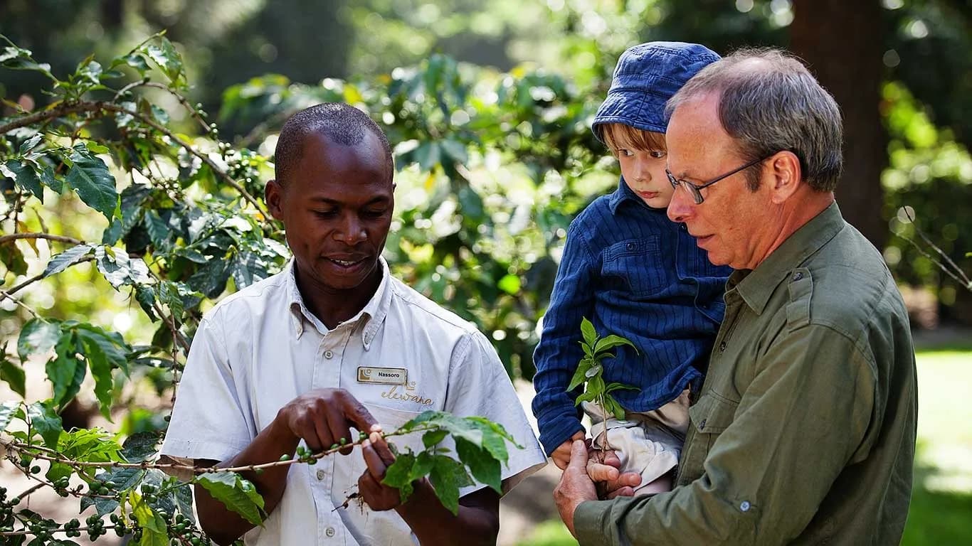 A coffee tour in the plantation