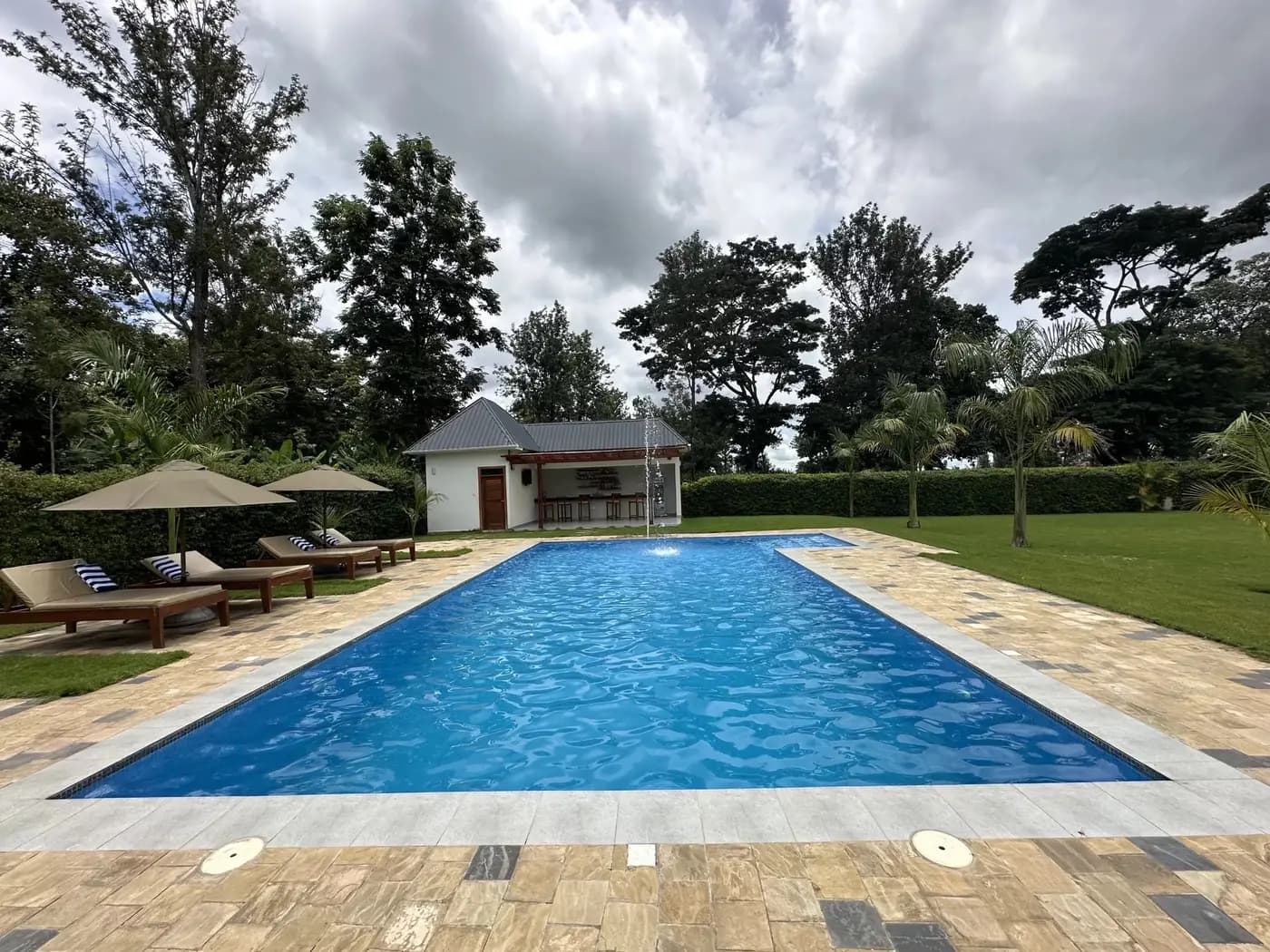 Swimming pool in the garden