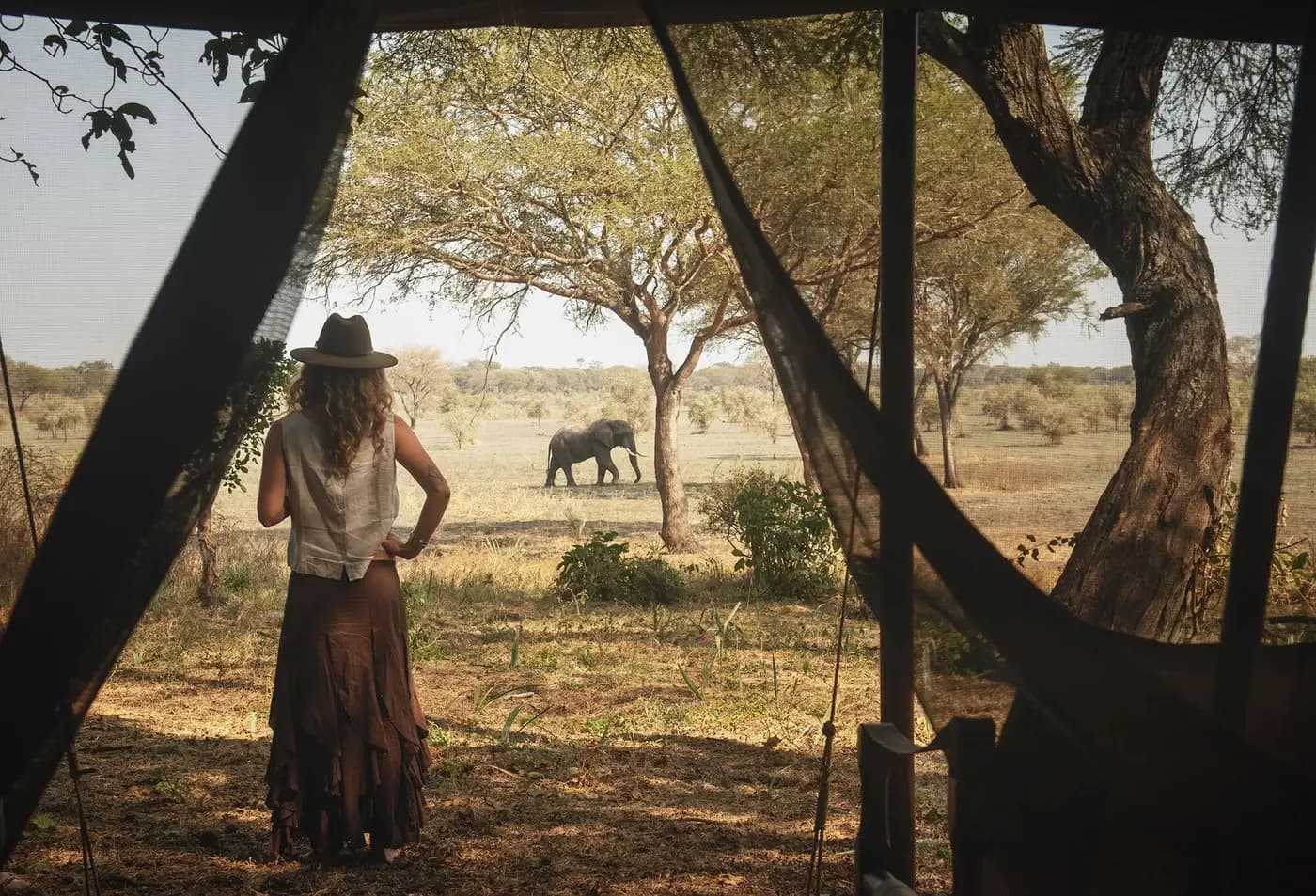 A guest watching an elephant from her tent