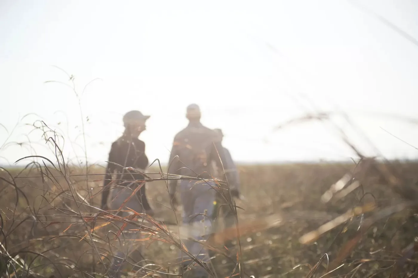 Walking safari in the long grass