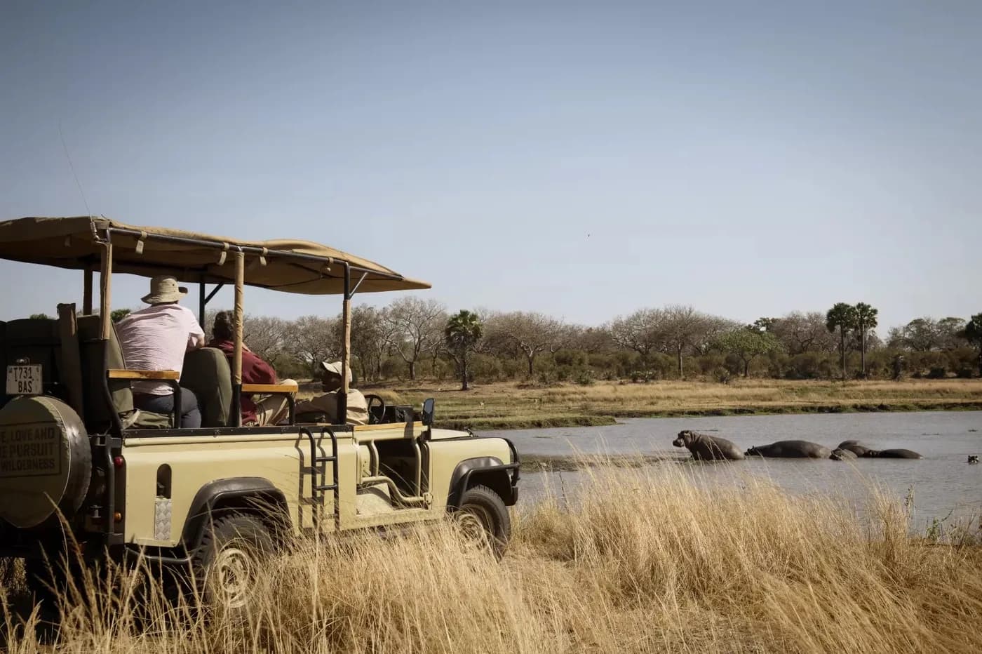 Open vehicle watching hippos in the river