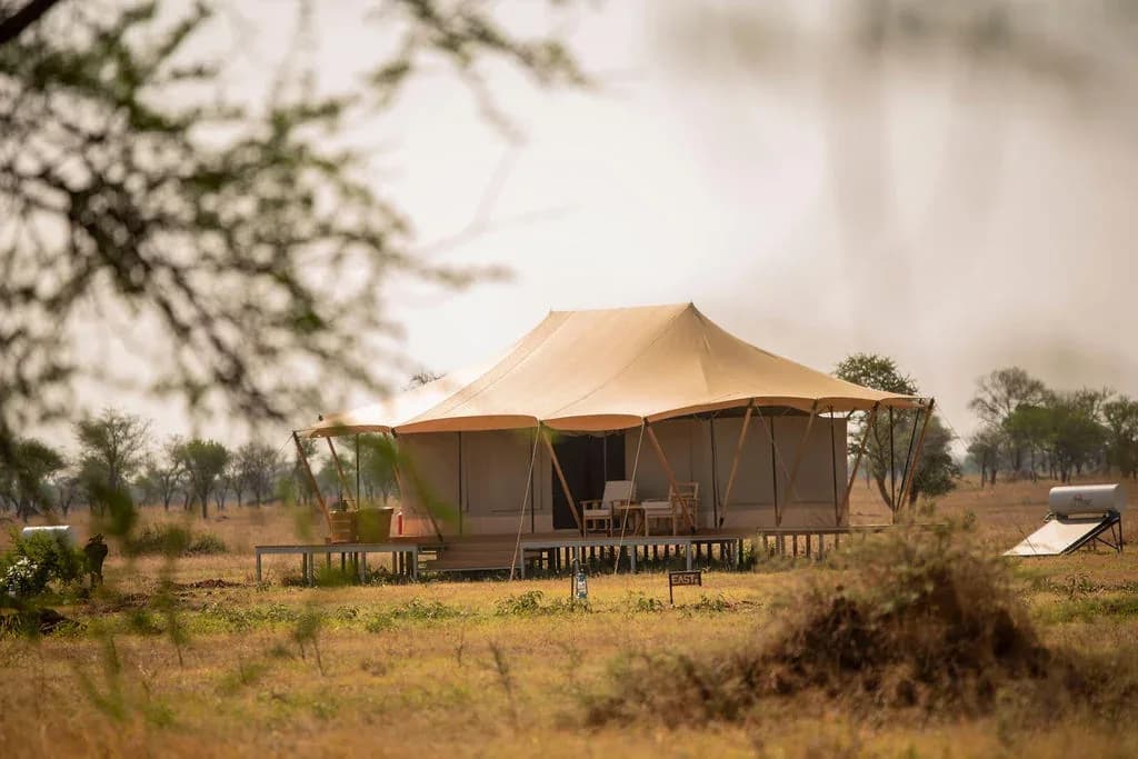 Guest tent among the acacias