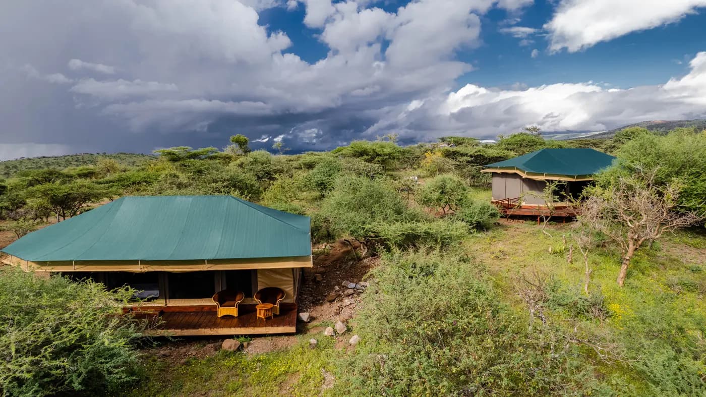 Tents among the acacias