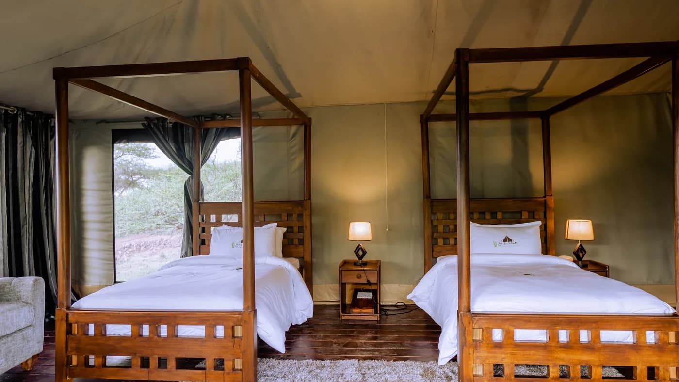 Twin room with views out