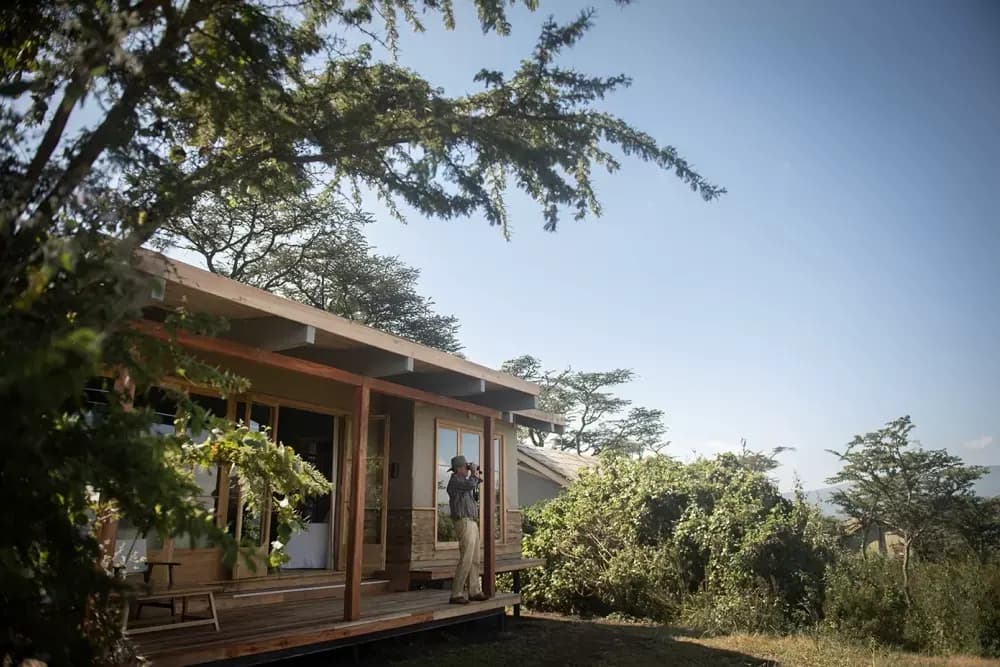 Cabin exterior among the highland trees