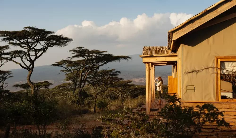 Cabin among the rim forest