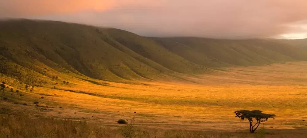 The crater floor at golden hour