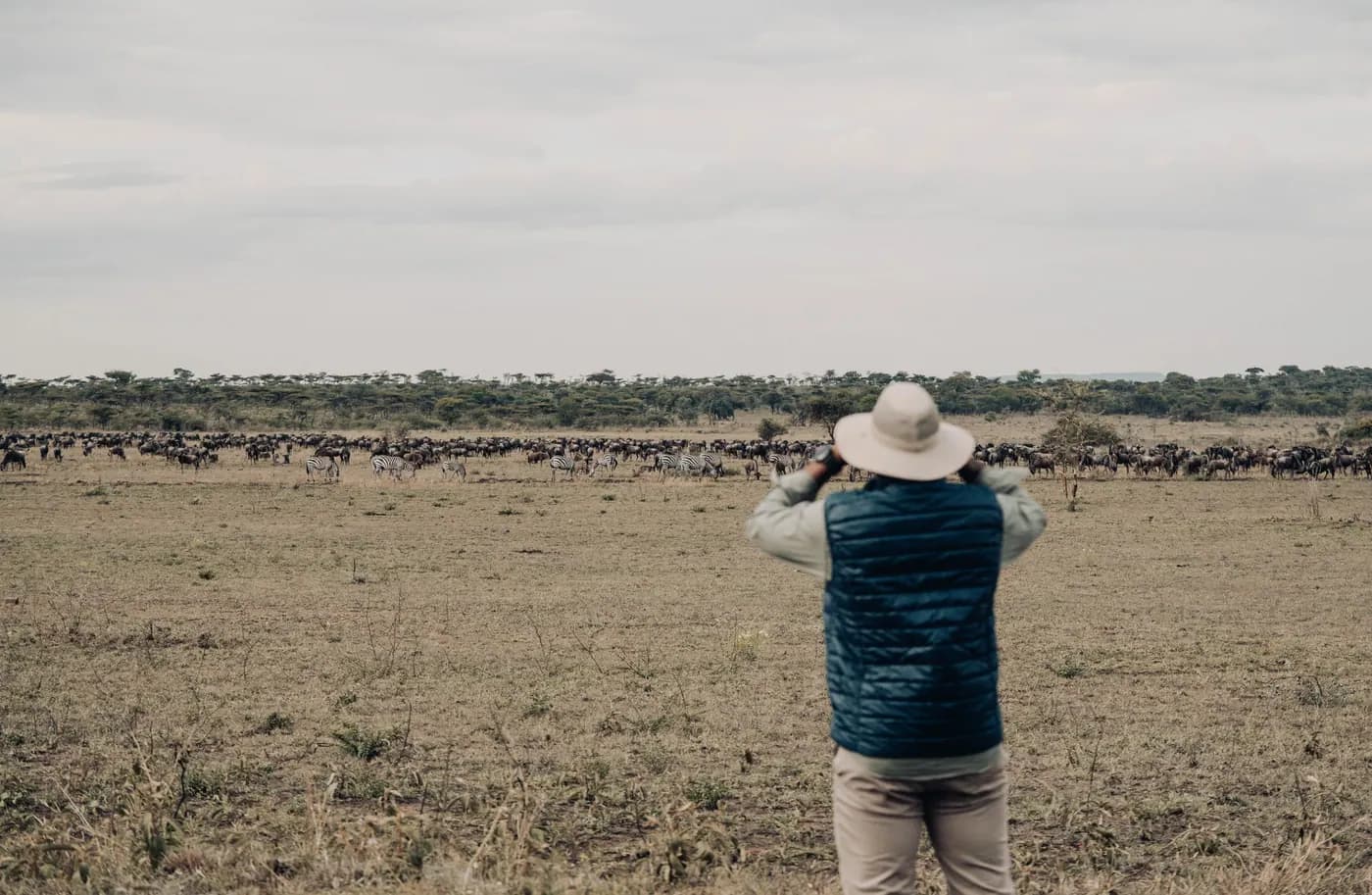 Photographing the herds