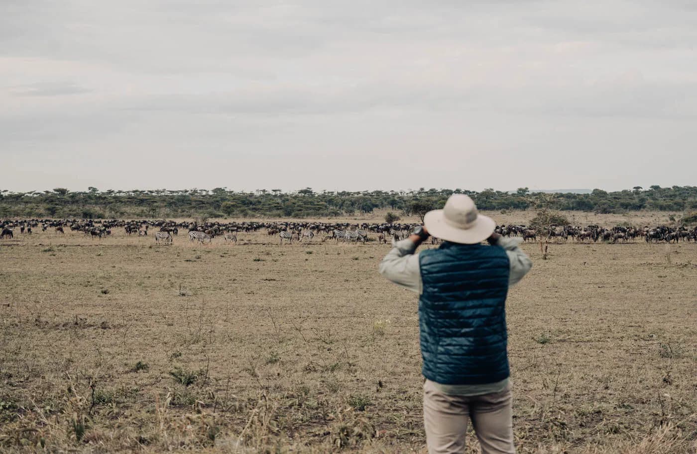 Watching the herds move