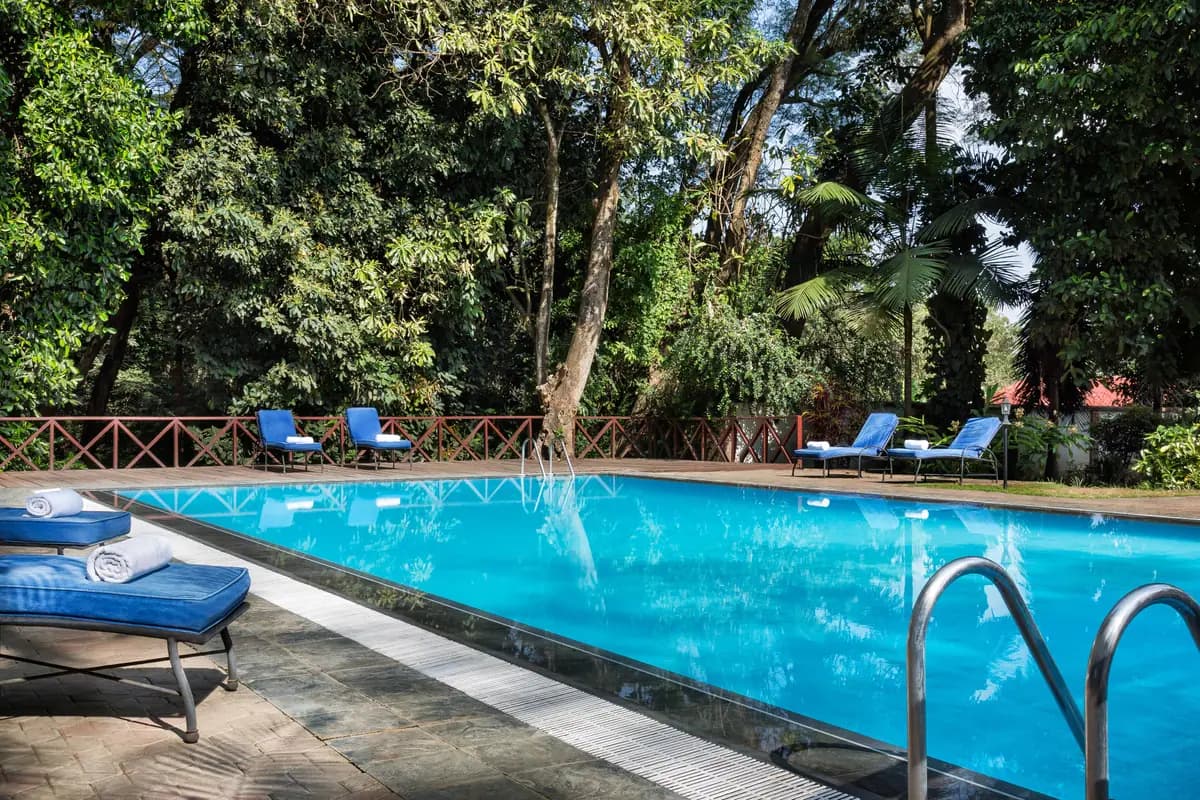 Pool and loungers under the trees