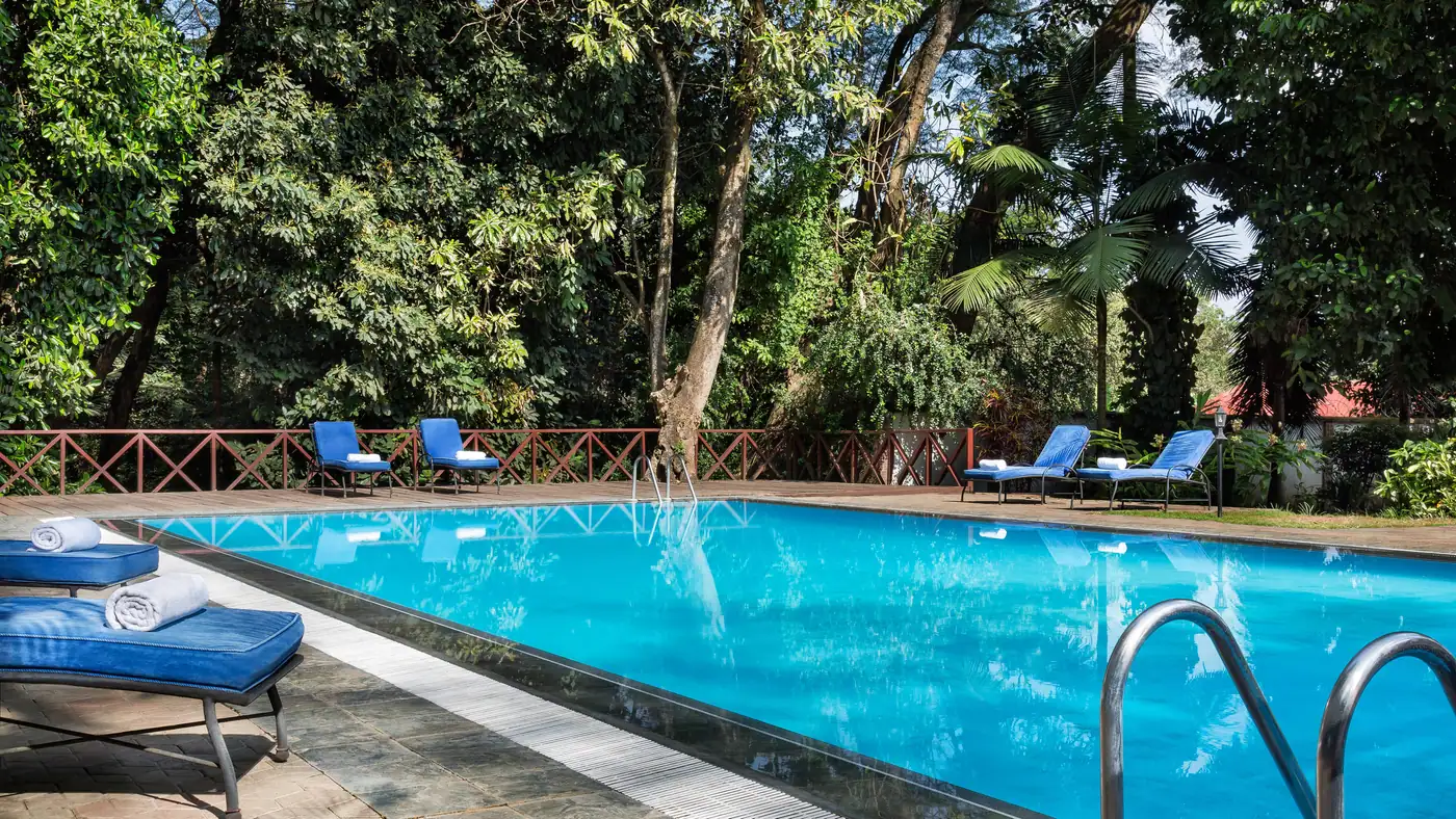 Pool beneath the trees