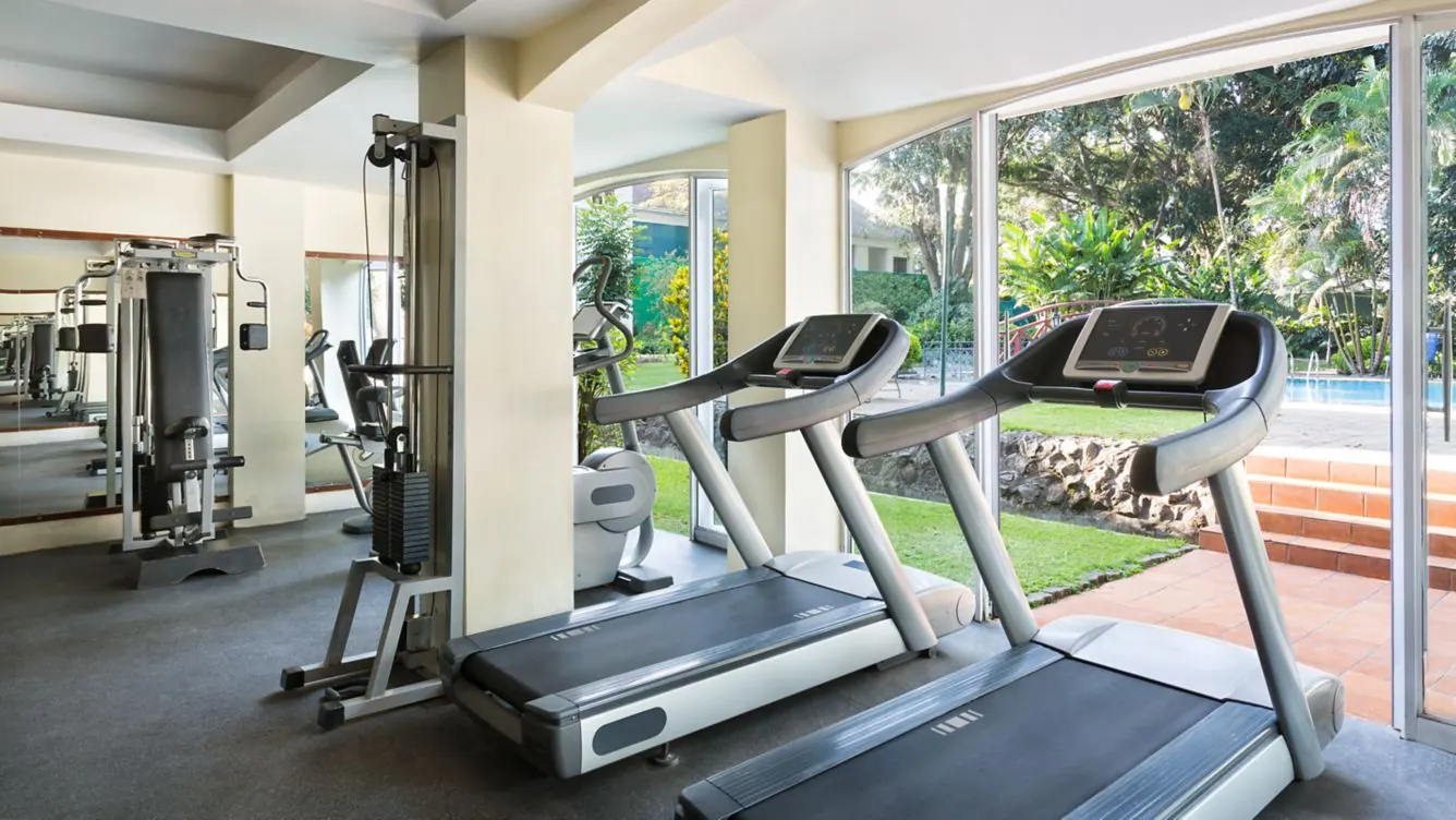 Treadmills looking onto the garden
