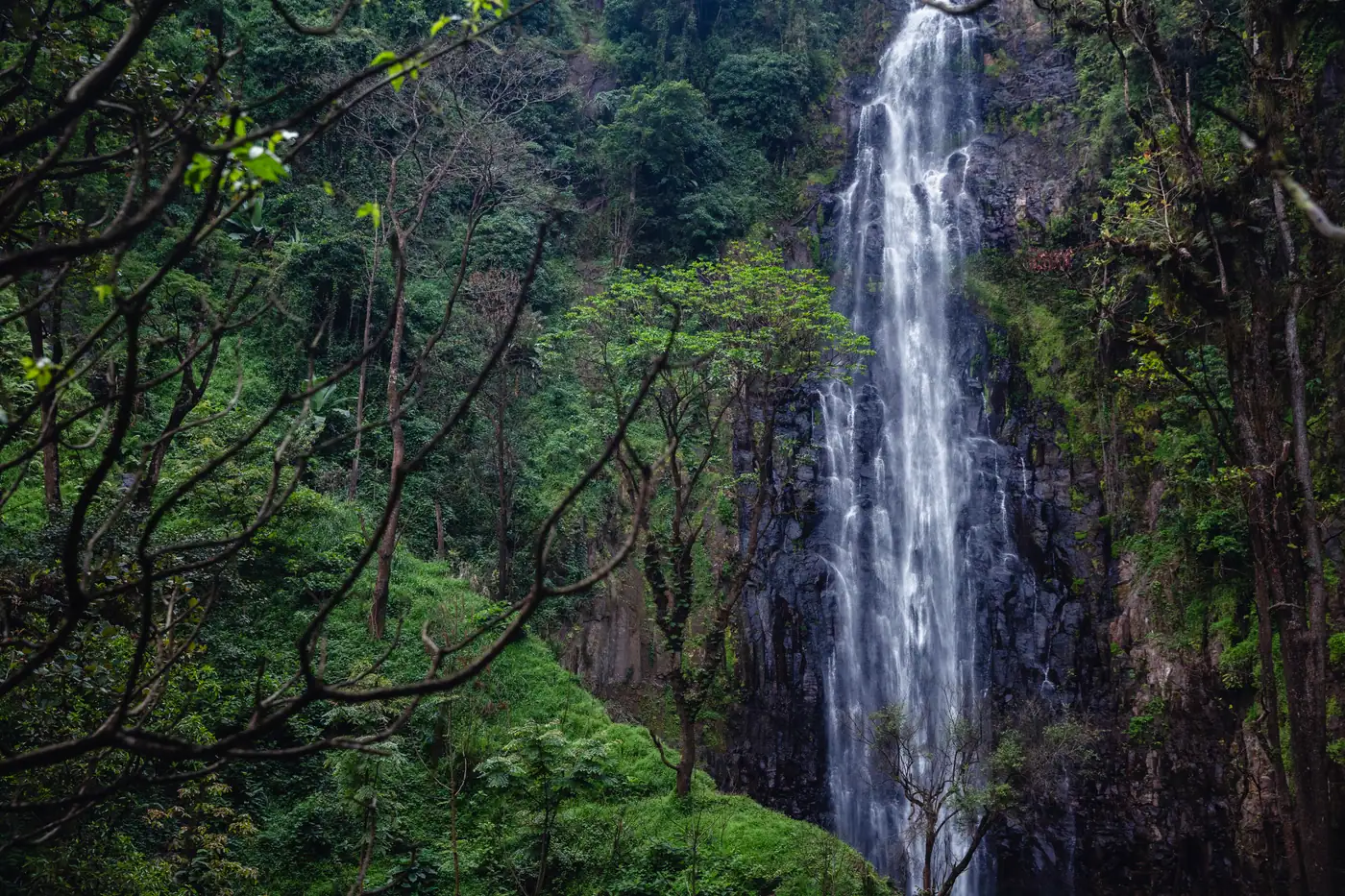 Waterfall in the forest