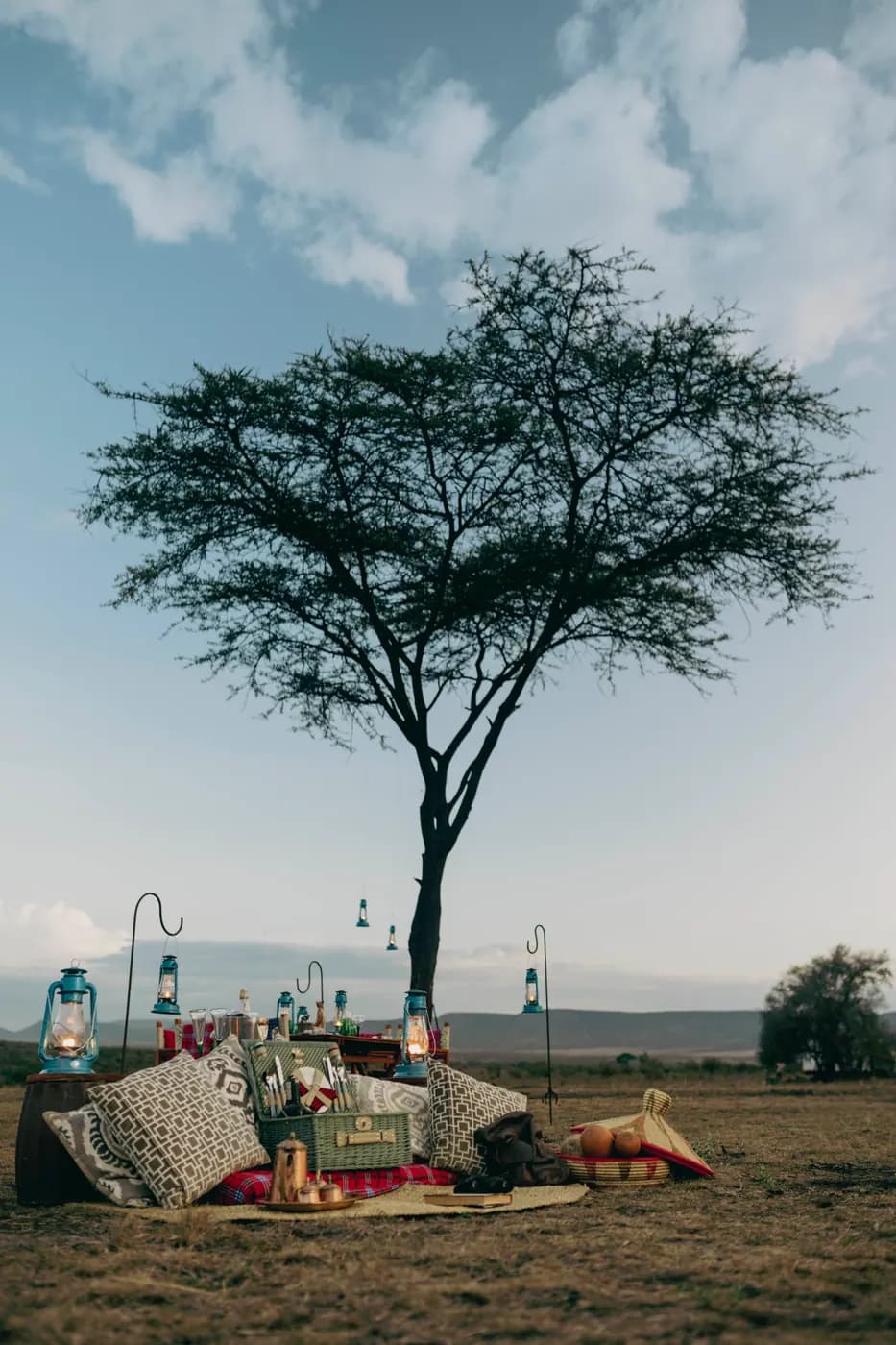 Lantern-lit table beneath an acacia