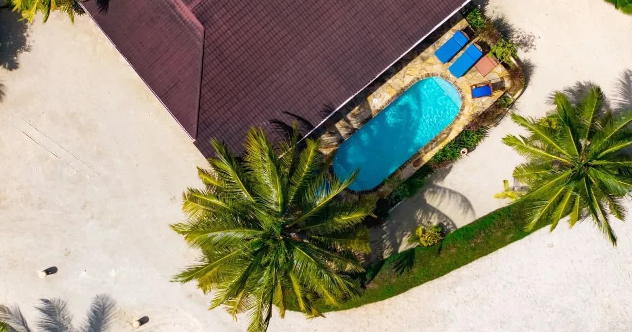The pool among the palms from above