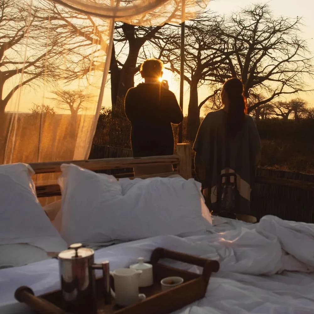 Guests on a star bed at sunset