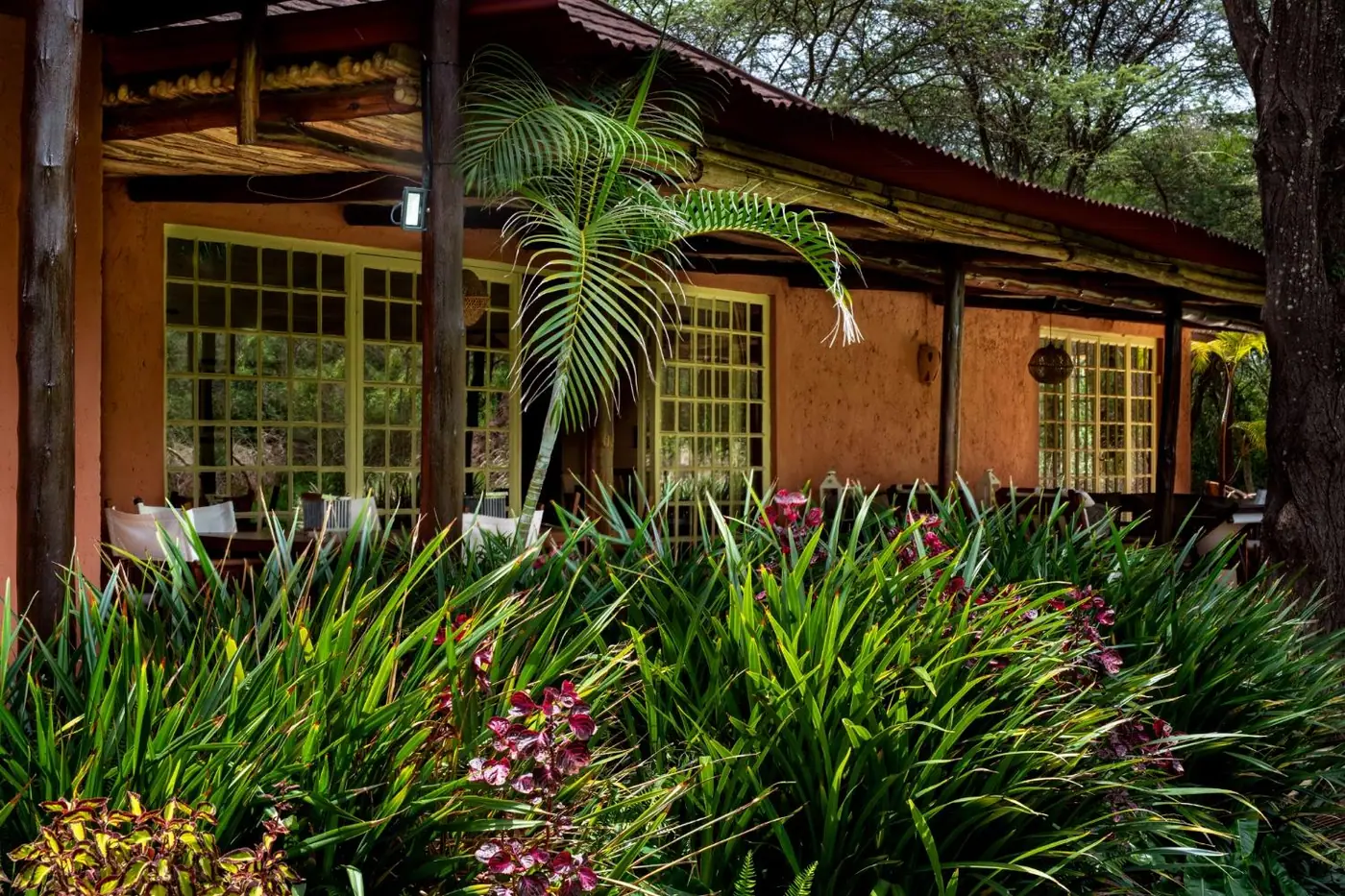 Villa frontage through the planting
