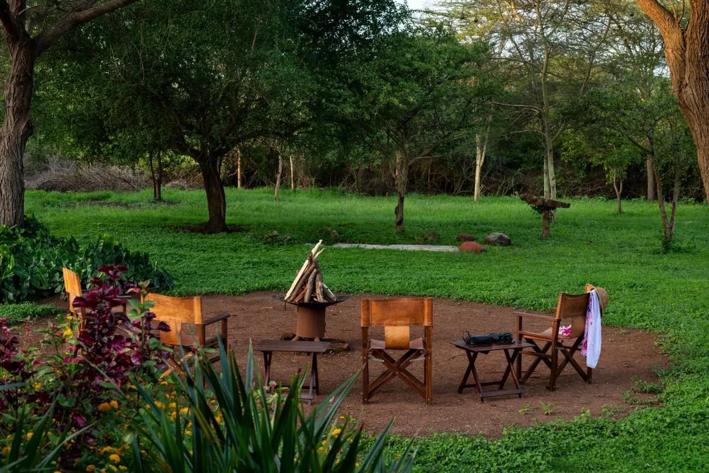Fire-pit chairs on the lawn