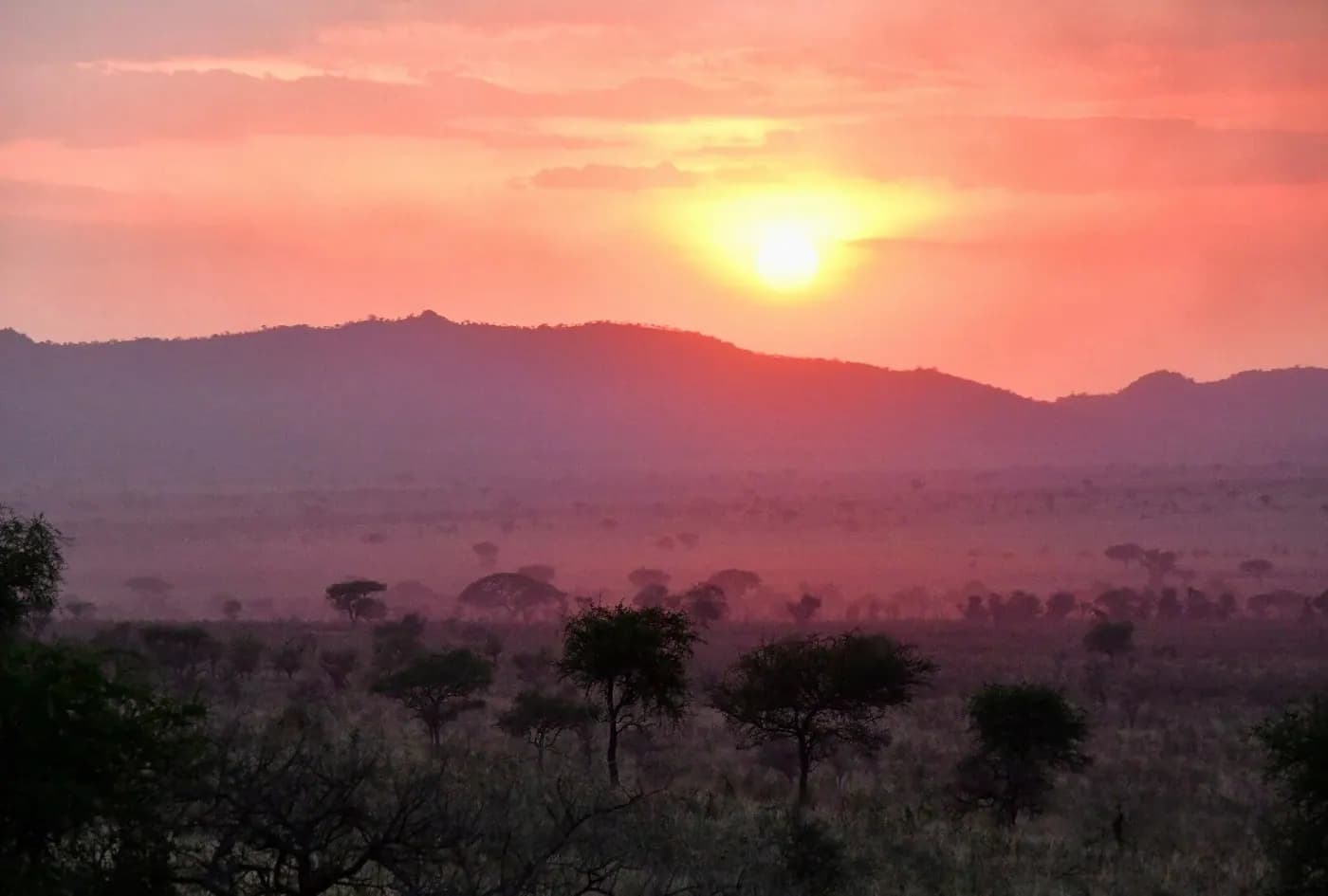 Sunset over the plains
