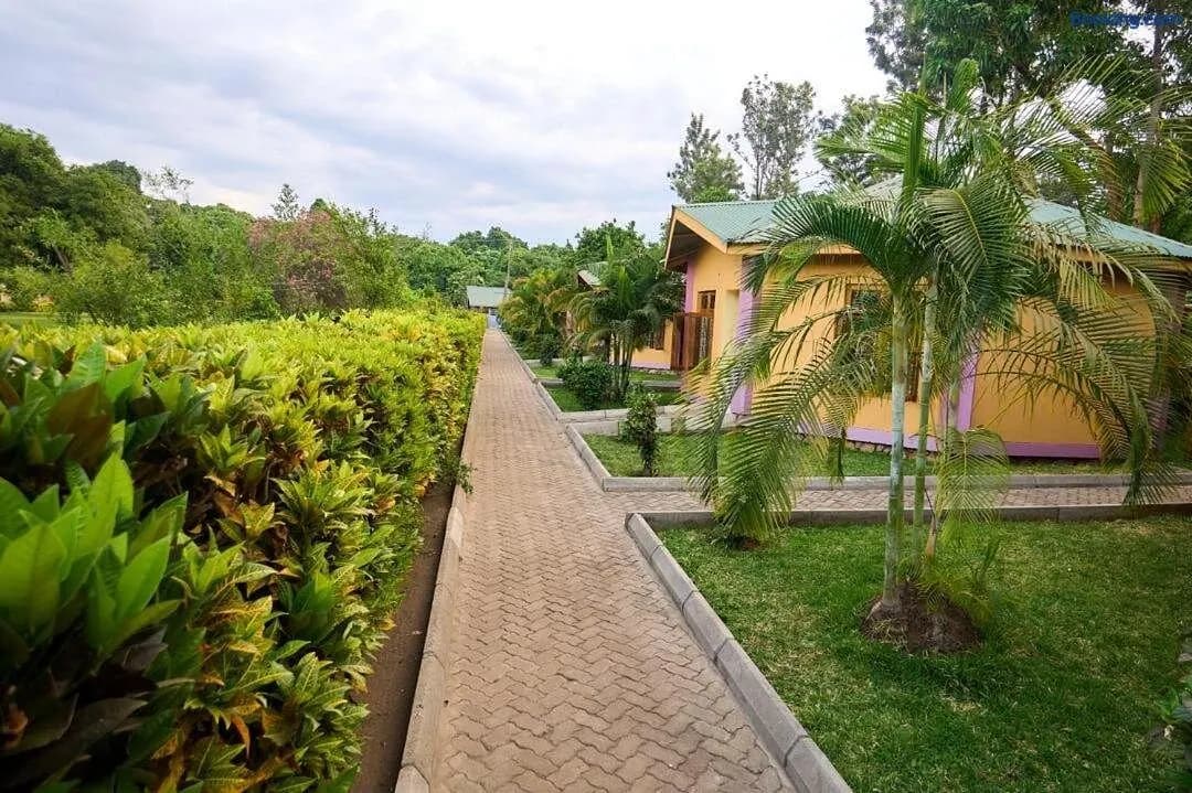 Path between the cottages