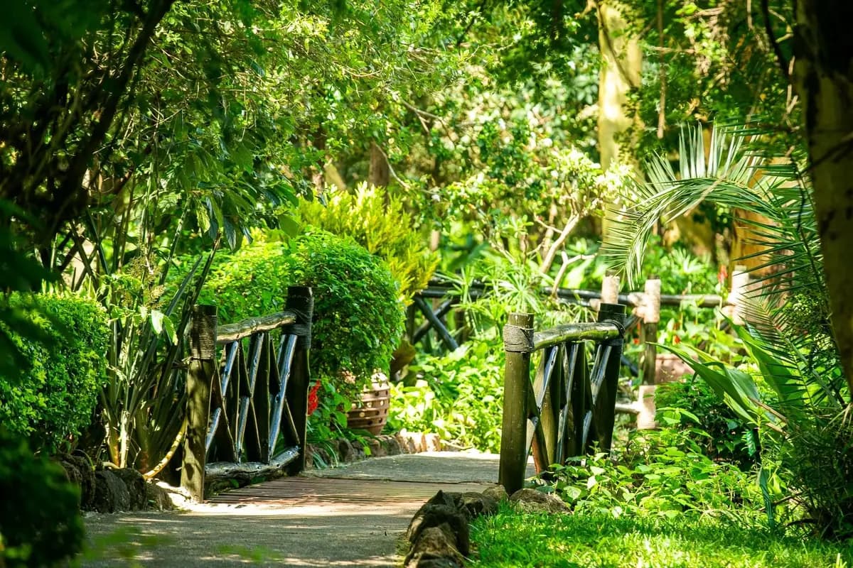 Garden gate and planting