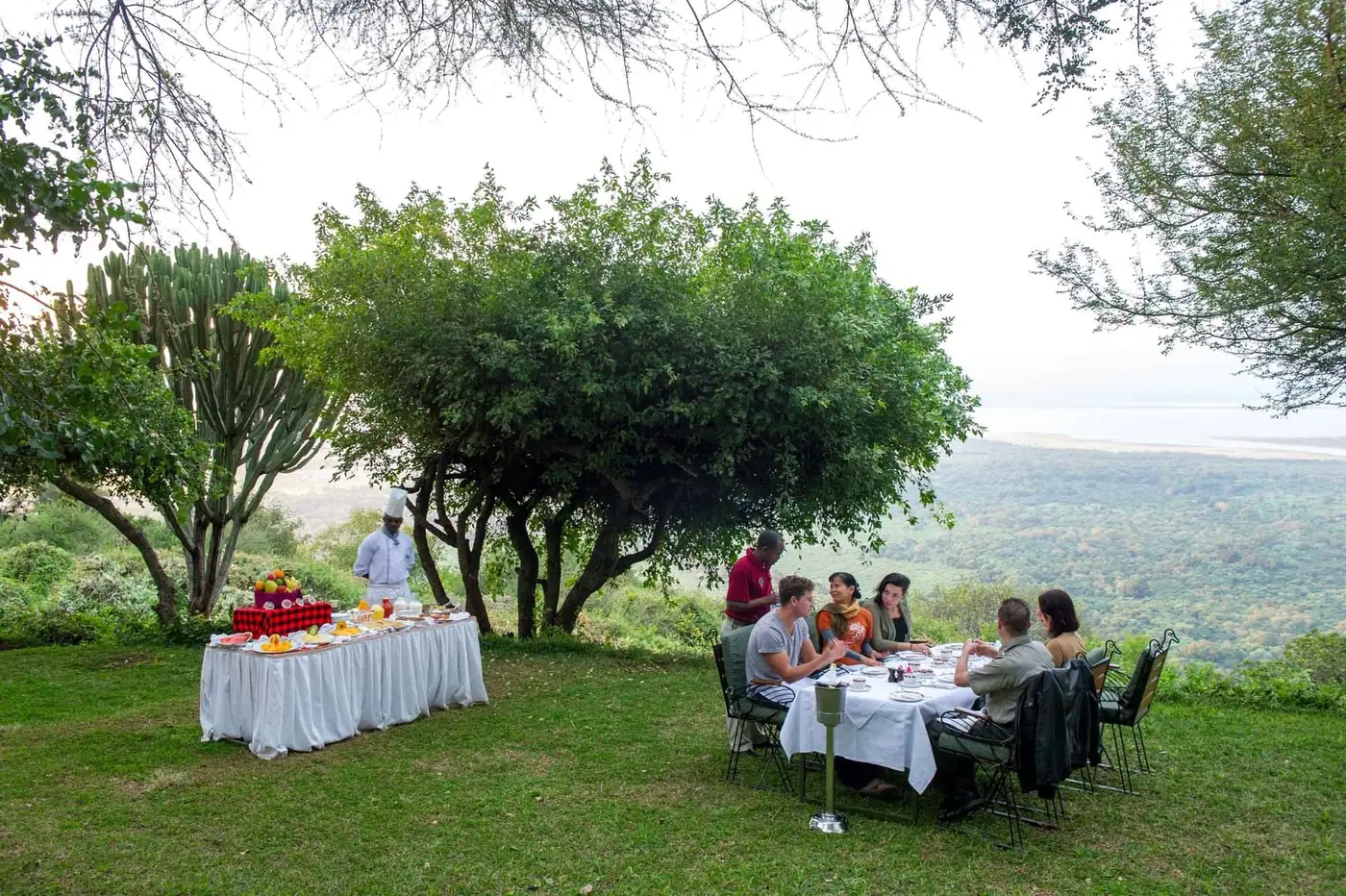 Lunch under the tree