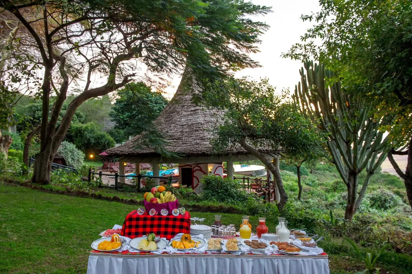 Breakfast spread in the garden