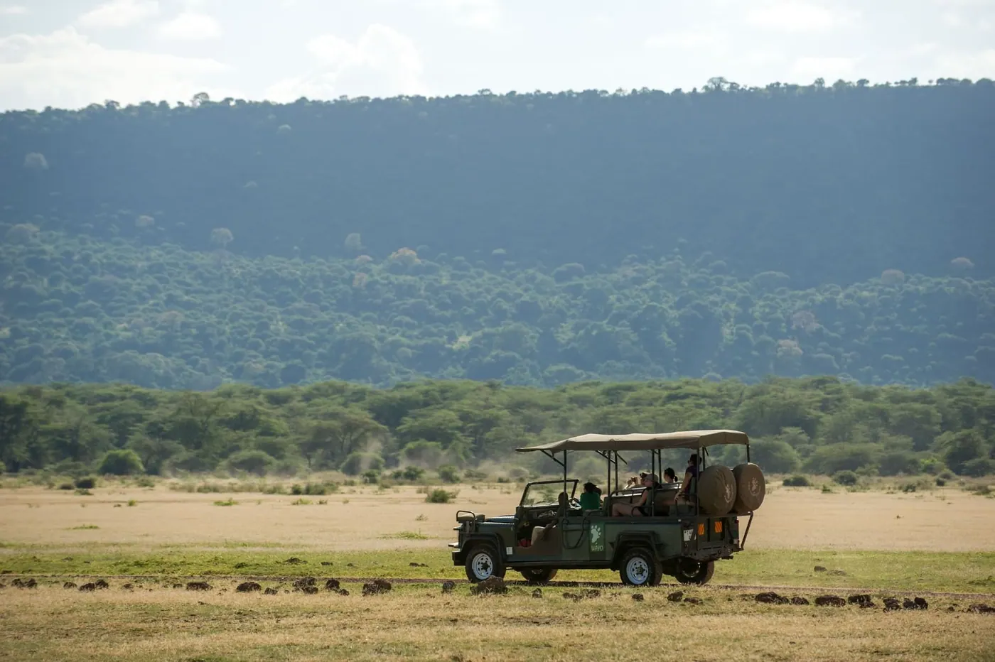 Game drive down on the plains