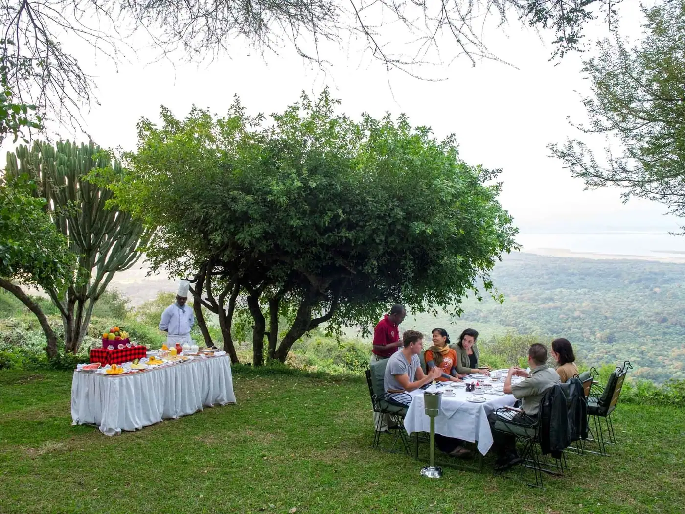 Dining on the lawn