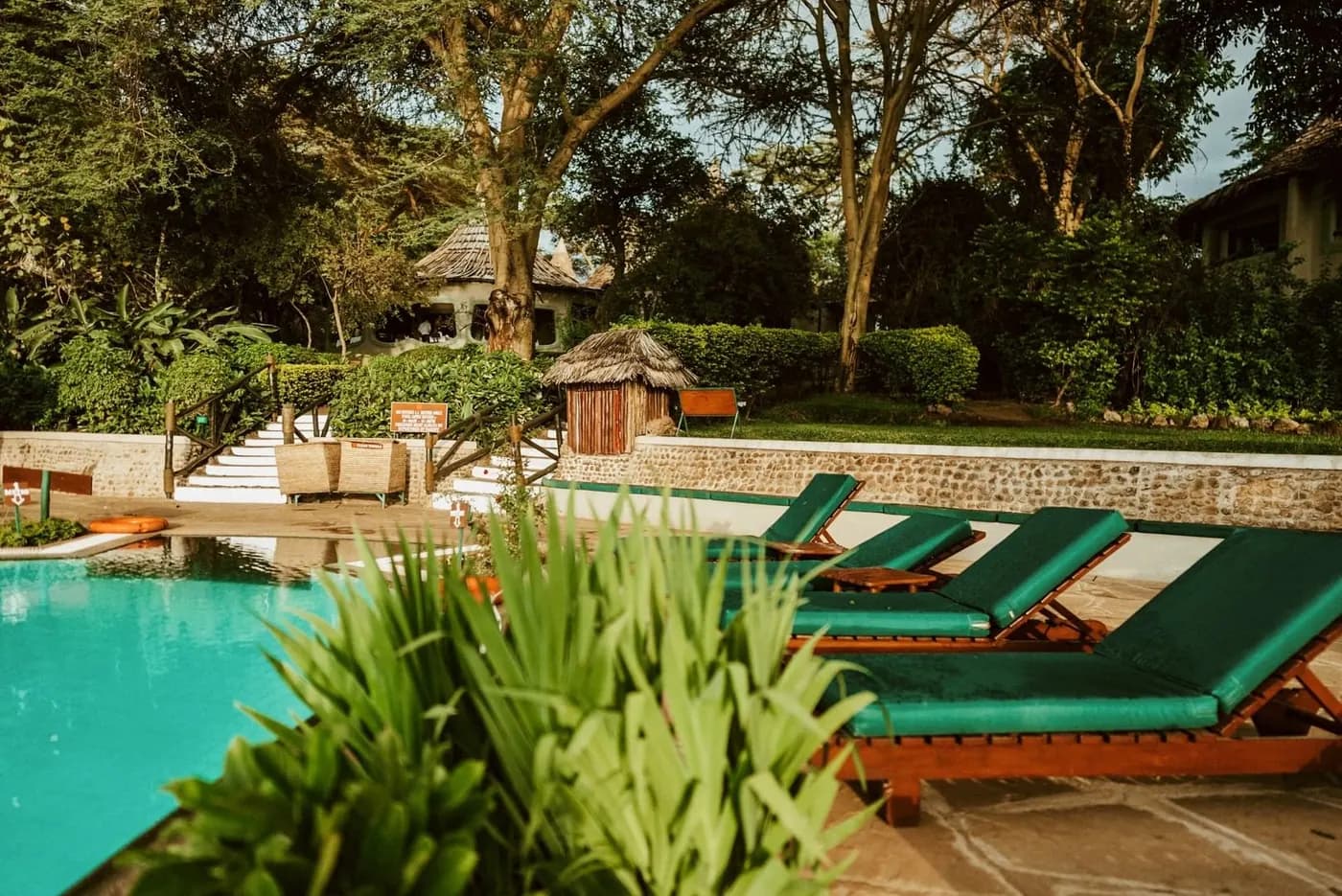 Pool and loungers in the garden