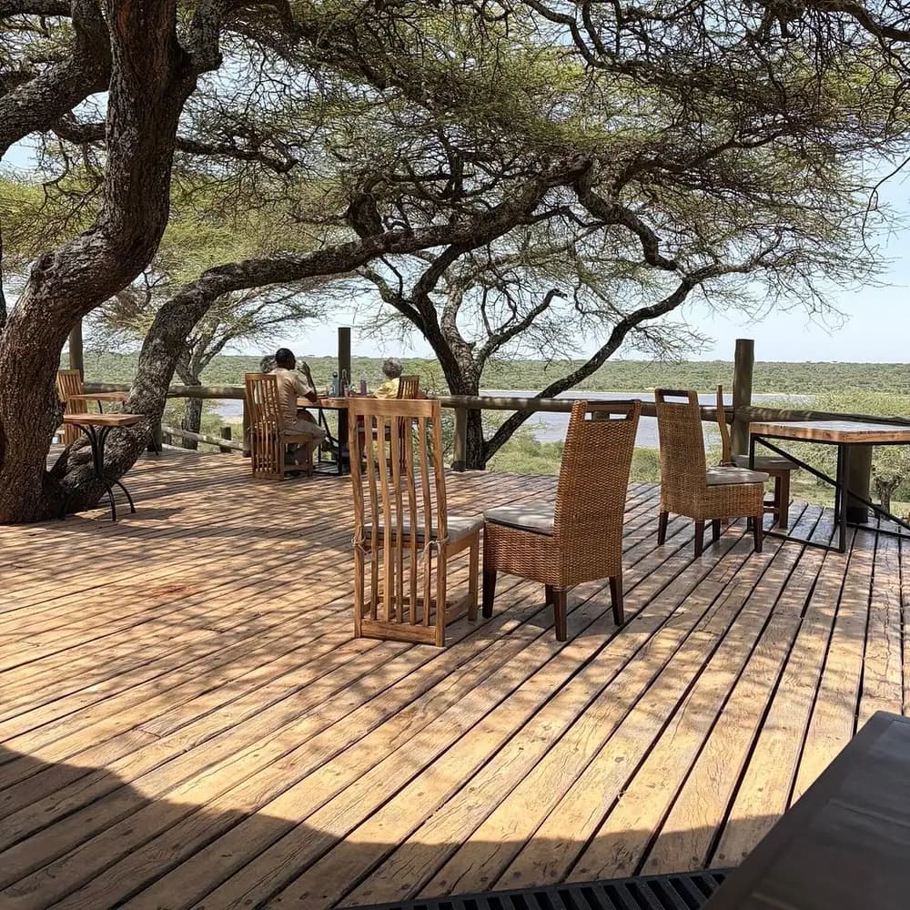 Deck tables under the trees