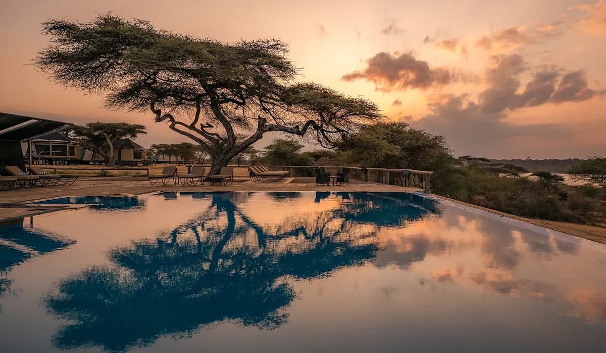 Pool reflecting the acacias
