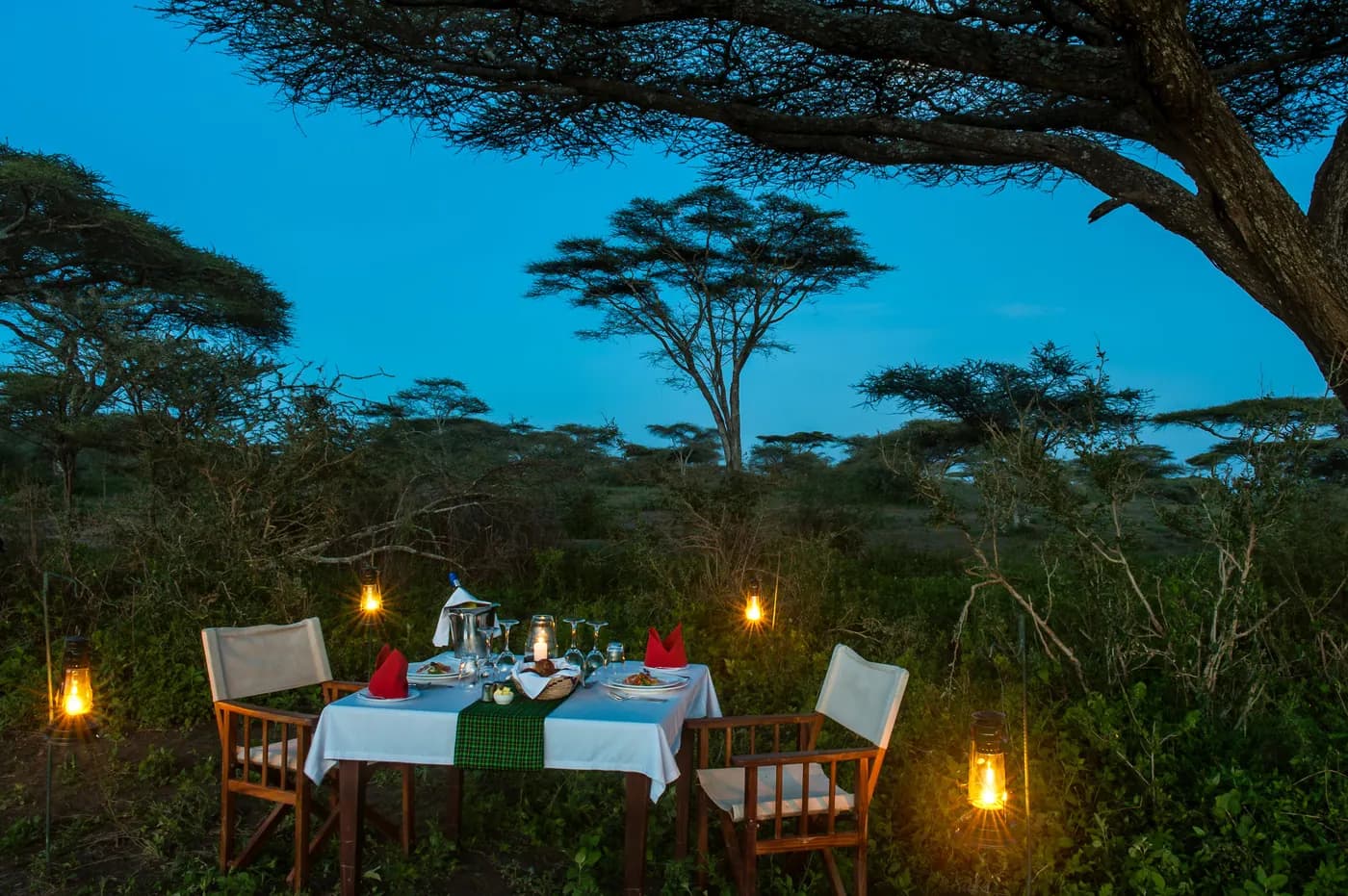Lantern-lit table in the bush