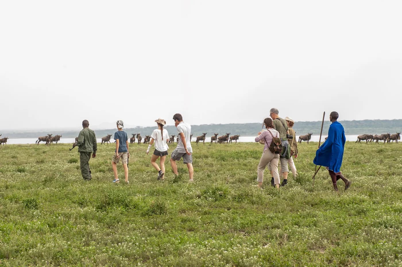 Walking out with the guides