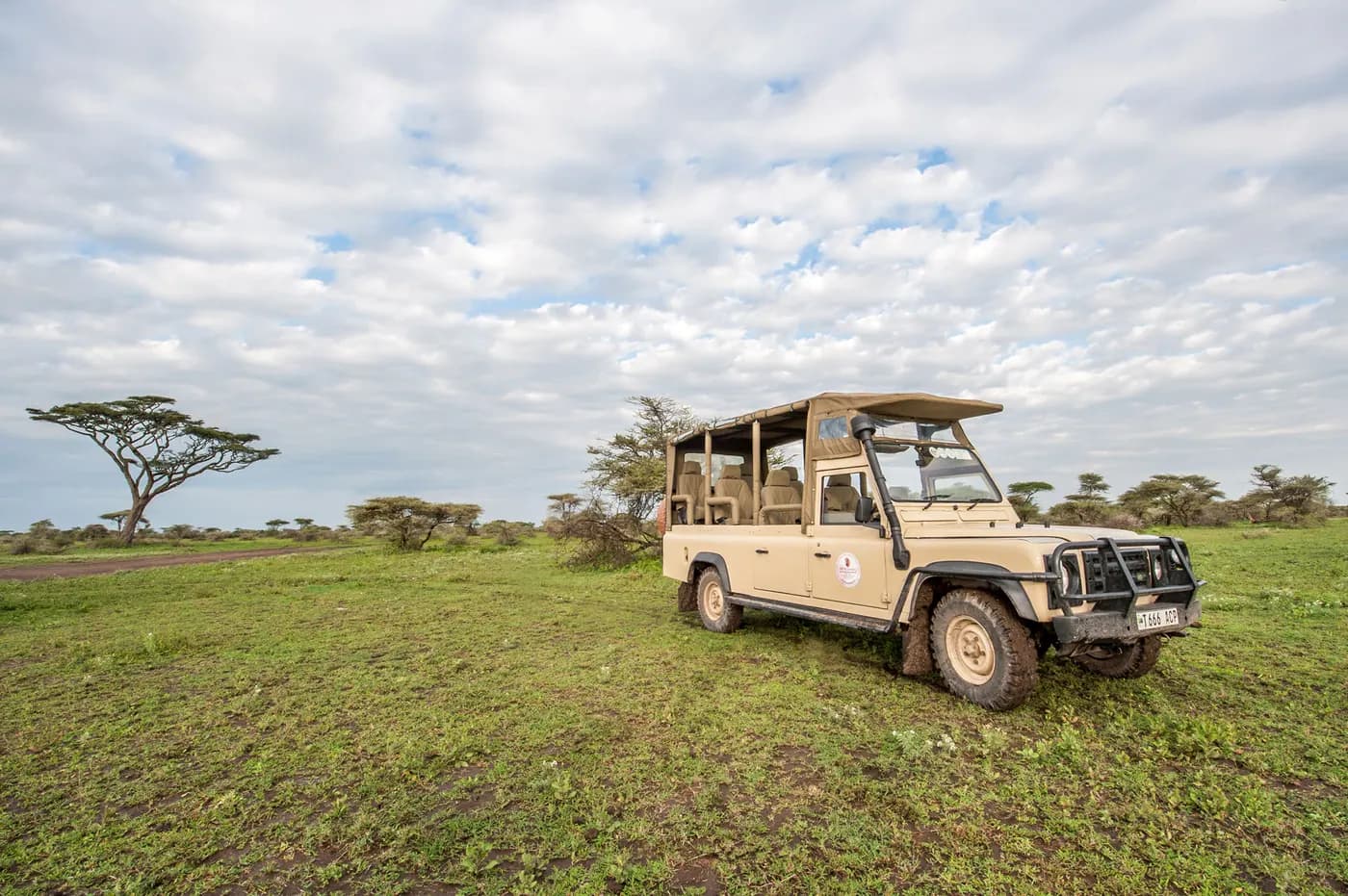 Game drive on the Ndutu plains