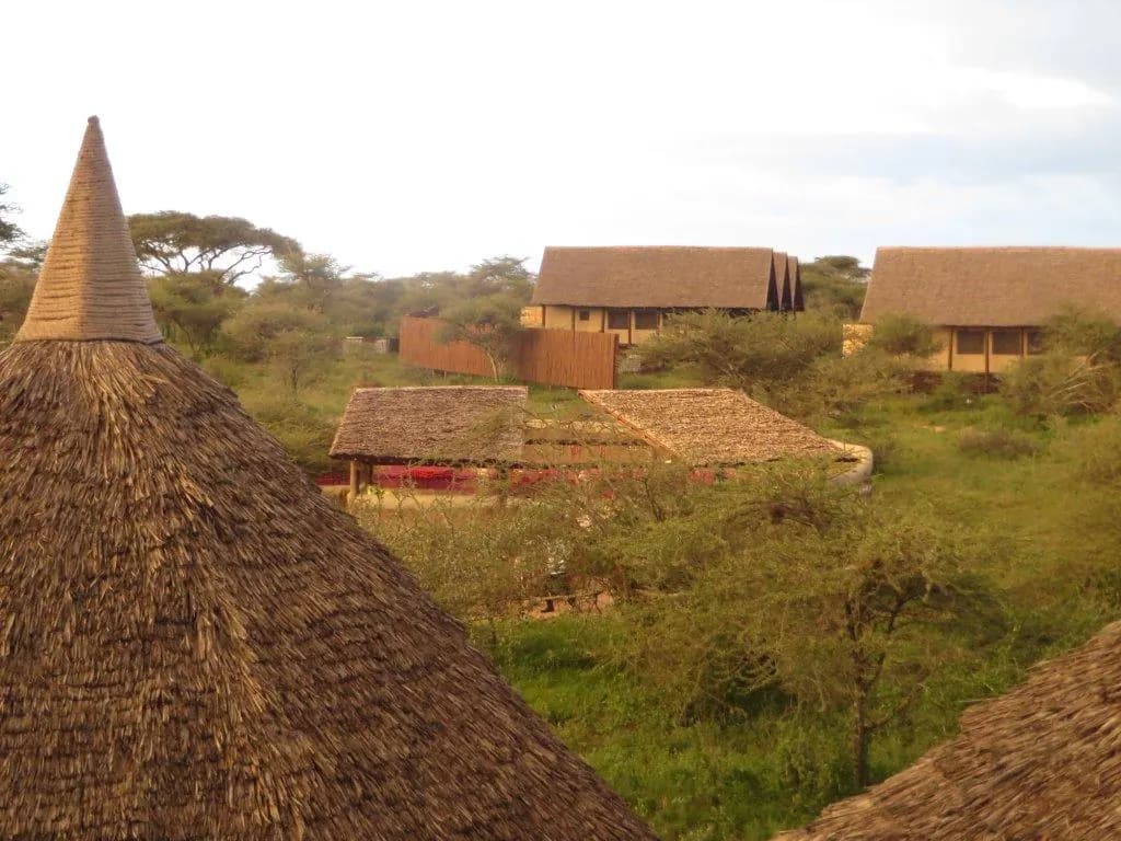 Thatched roofs above the plains