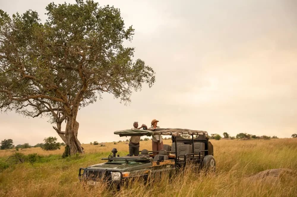 Game drive through the grass