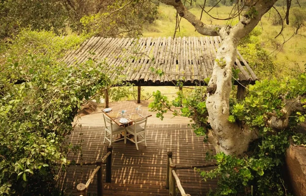 Reed-shaded terrace
