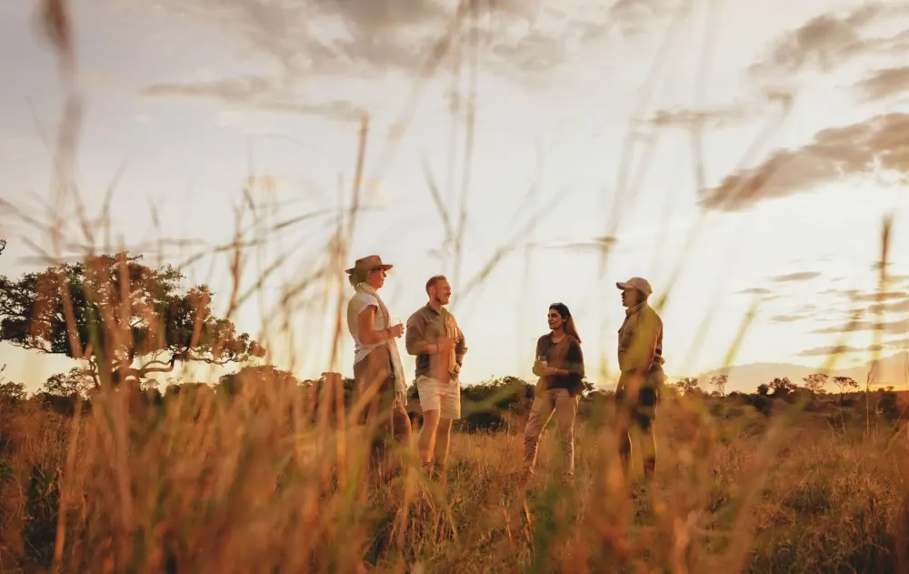 Walking safari through the grass