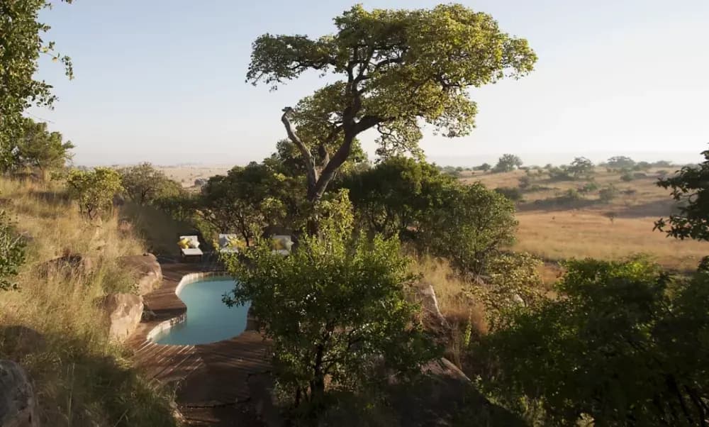 The camp among its trees