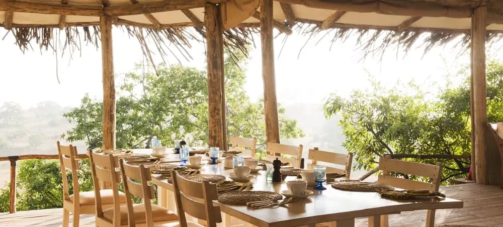 Table laid under the canopy
