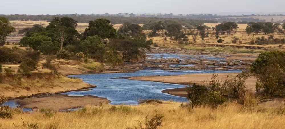 The river winding through the plains
