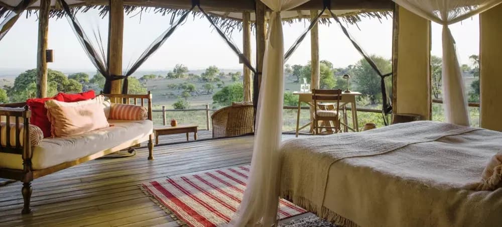 Bed and rug with the view beyond