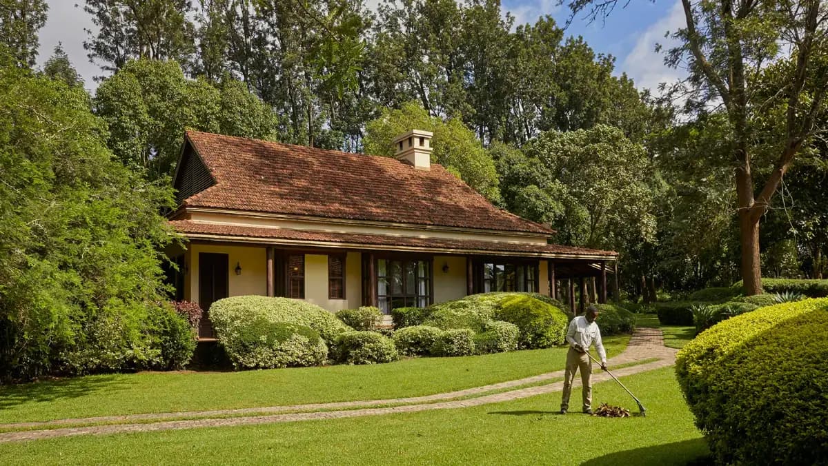 Cottage on the lawn