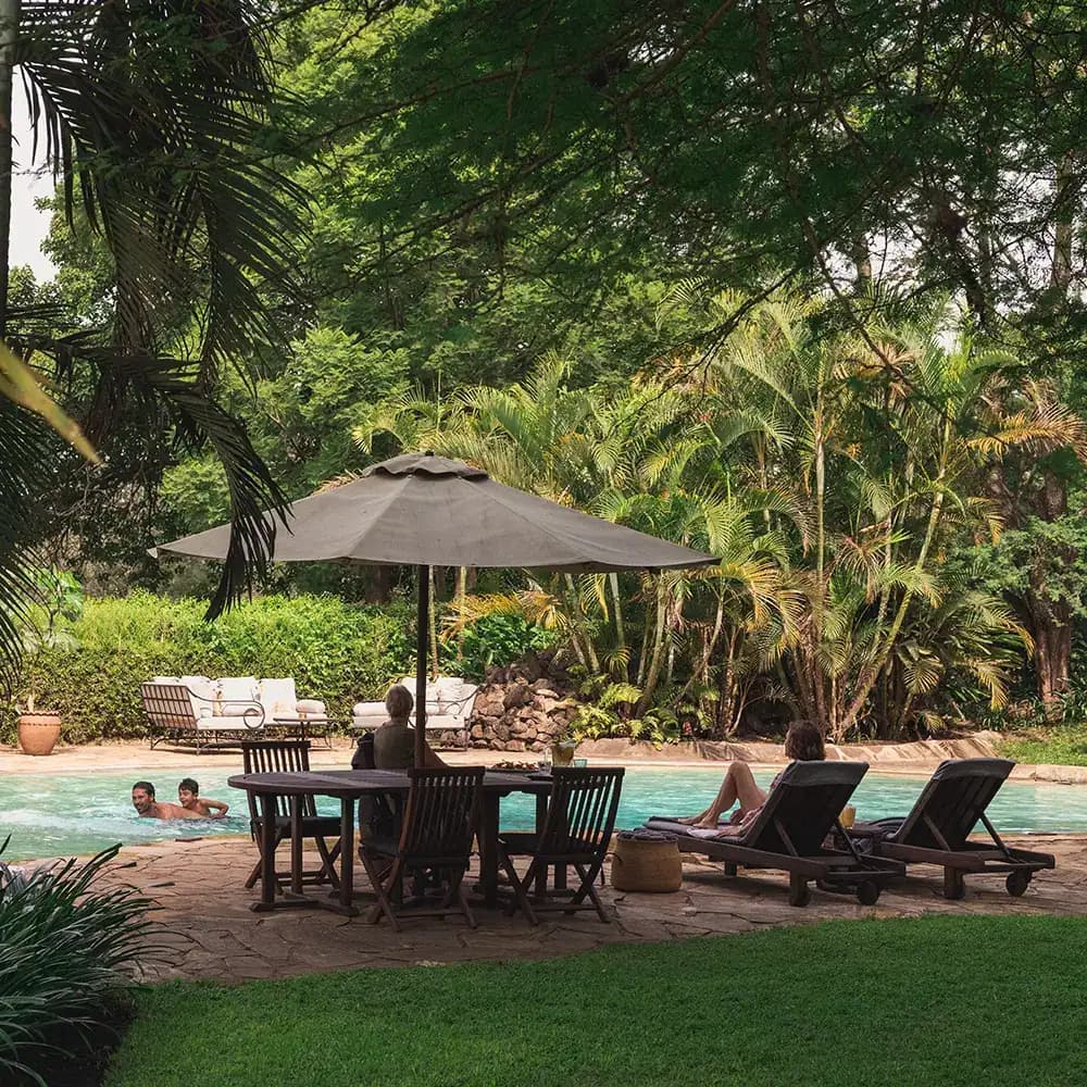 Pool beneath the trees