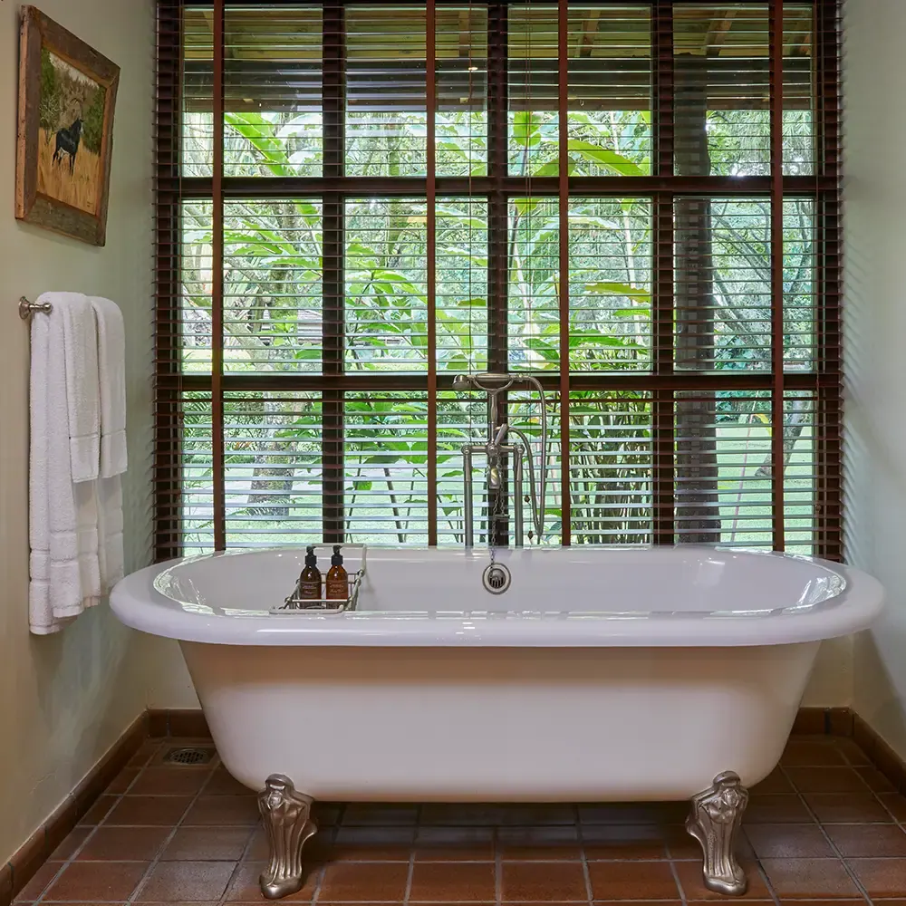 Roll-top bath at the window